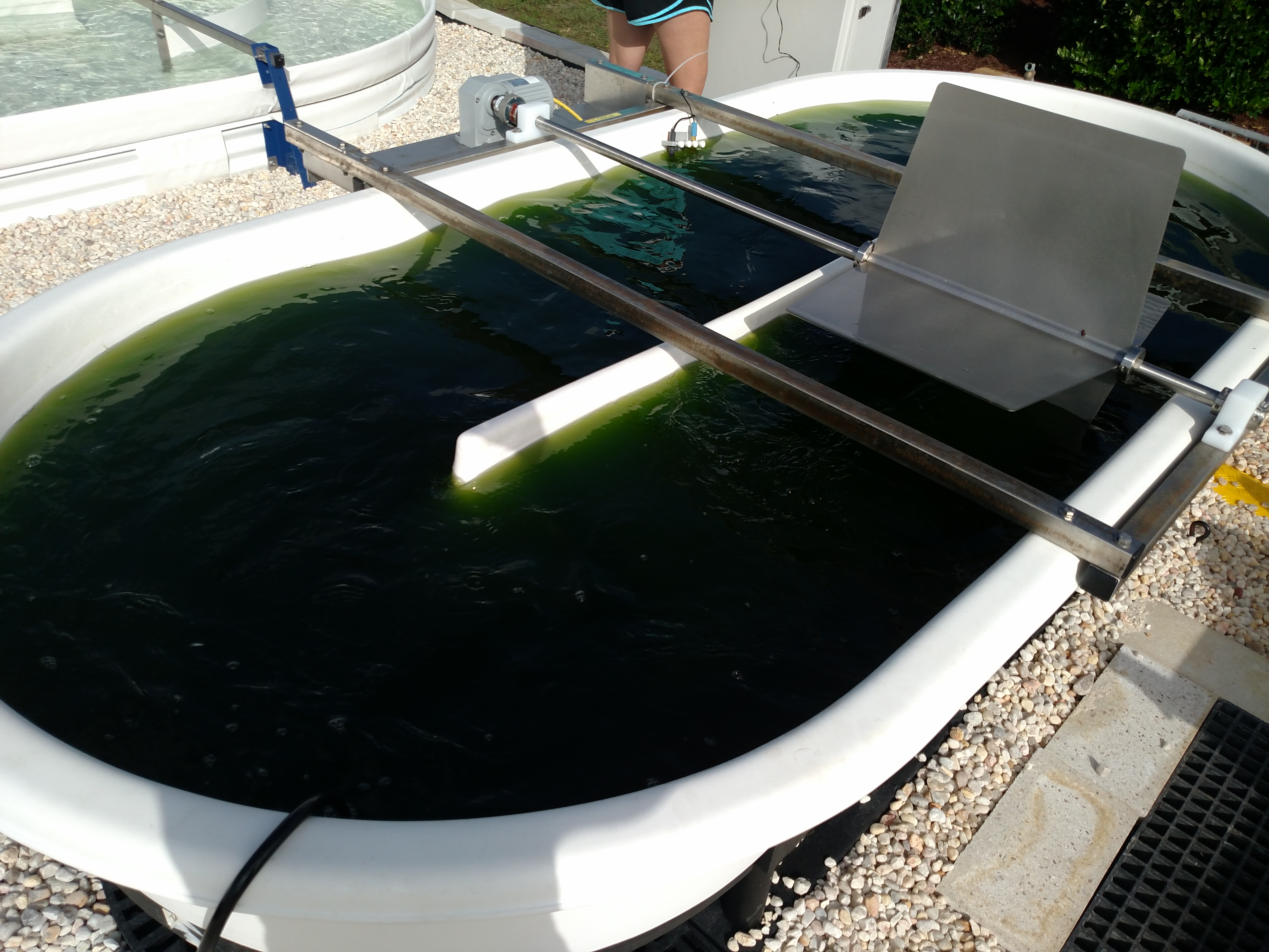 MAGIC algae ponds installed for large scale algae production – Ocean ...